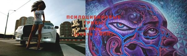 молекула духа Ельня