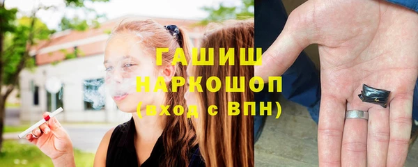 молекула духа Ельня
