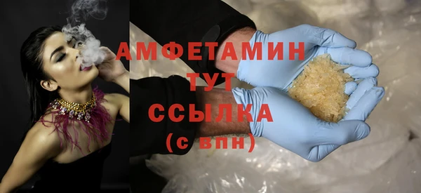 молекула духа Ельня