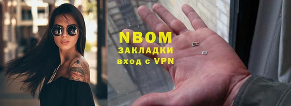 молекула духа Ельня