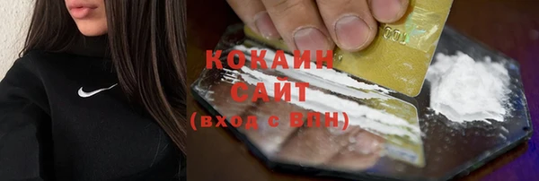 молекула духа Ельня