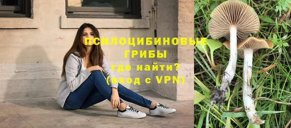 твердый Елабуга