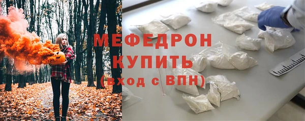 молекула духа Ельня