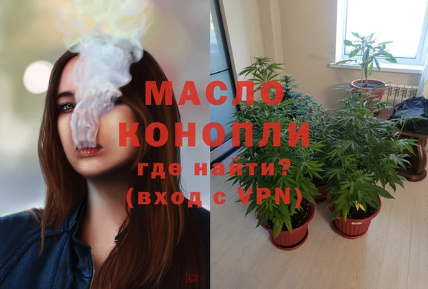 молекула духа Ельня