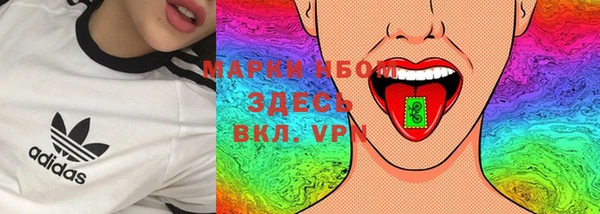 молекула духа Ельня