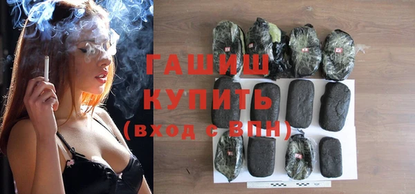 молекула духа Ельня