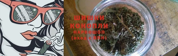 молекула духа Ельня