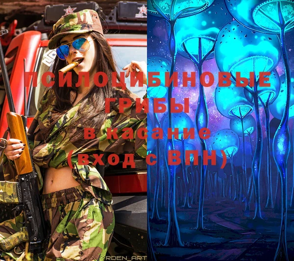 молекула духа Ельня