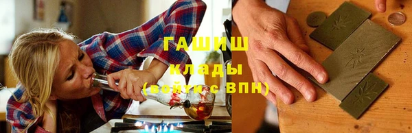 молекула духа Ельня