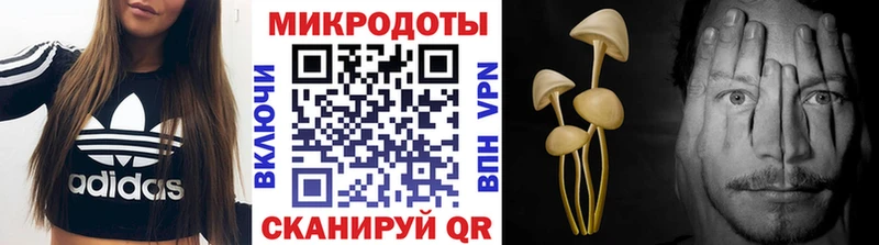 Купить  Анадырь  Псилоцибиновые грибы ЛСД 